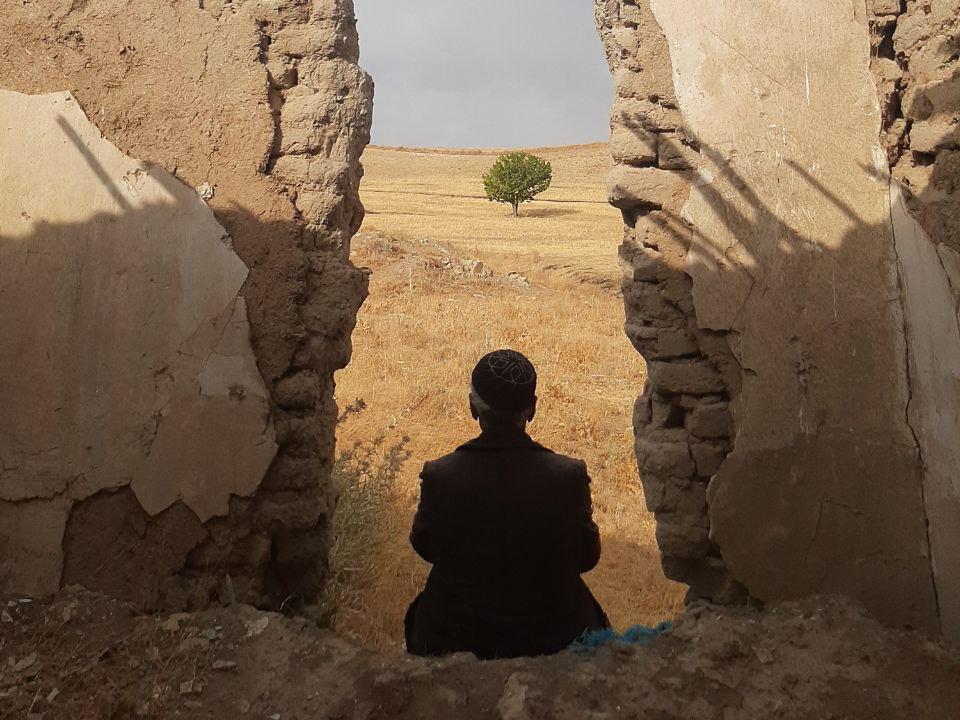 حبیب1