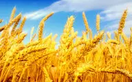 برگزاری جشنواره استانی عکس 