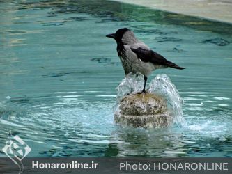 حوض یکی از عناصر معماری ایرانی
