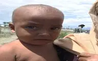 تصاویر کارگردان 