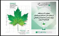 معرفی آثار راه یافته بخش ملی به بخش بین‌الملل جشنواره فیلم کوتاه تهران