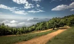 جاده‌کشی تهدید جدید برای بناهای تاریخی و میراث ثبت شده جهانی / از آسفالت کردن جنگل ابر تا تعرض به حریم محوطه‌ تاریخی جوبجی 