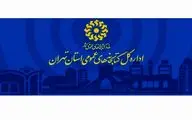 میزبانی ۳۲ کتابخانه عمومی استان تهران در طرح ملی کتابخانه‌گردی