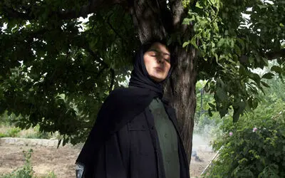 «در آغوش درخت» بهترین فیلم جشنواره کانادایی شد