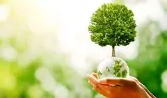  معماری پایدار و تاثیر آن بر حوزه محیط زیست 