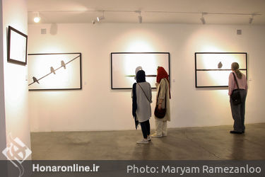 نمایشگاه عکس مهدی شادی‌زاده در گالری سایه