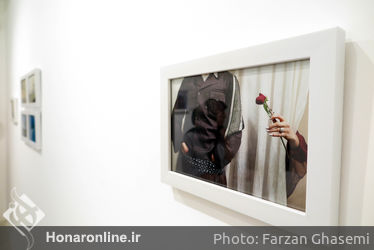 عکس های برگزیده فرزان قاسمی در سال 1395