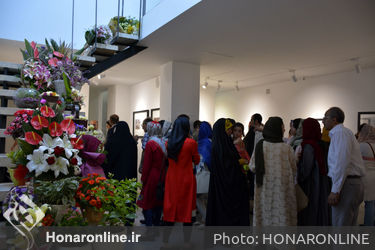 نمایشگاه عکس و چیدمان کجواج‌ها در گالری سایه