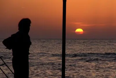 'Gracefully' wins at Intl. Golden Saffron Documentary Fest.
