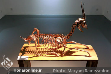 نمایشگاه مجسمه علیرضا معماریانی در گالری اعتماد
