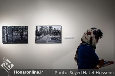 نمایشگاه عکس مسعود مومن‌ها در گالری طراحان آزاد