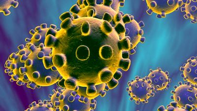 IIDCYA Launches Intl. Painting Contest on New Virus
