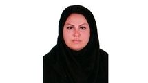 مدیر روابط عمومی چهاردهمین جشنواره موسیقی نواحی معرفی شد