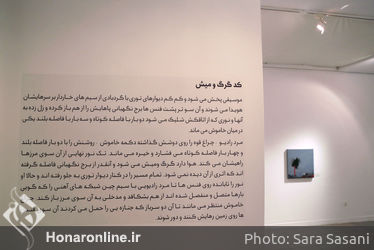 نمایشگاه نقاشی گلاره گودرزی در گالری ویستا