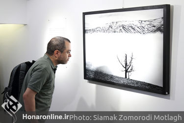 نمایشگاه عکس علی شکری در گالری مژده