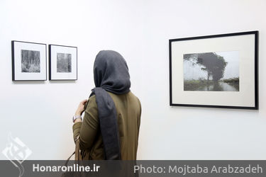 افتتاحیه نمایشگاه گروهی با عنوان " ناتمام است درخت" در گالری امکان