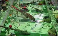افتتاح جشنواره 