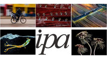 IPA Announces Winners of One-Shot “MOVEMENT” Photography Competition