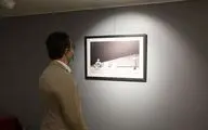 Farzad Jamshid Danaei Photo Exhibition at Baharak Gallery 