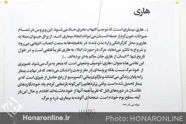 نمایشگاه آثار سوگند نبی در گالری فرمانفرما