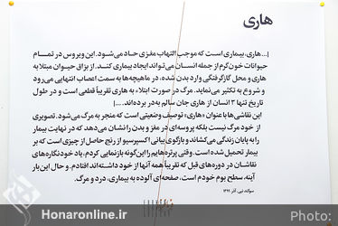 نمایشگاه آثار سوگند نبی در گالری فرمانفرما