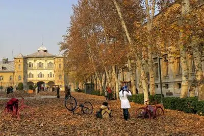 «پاییز-برگ» با ۴١ اثر هنری مشارکتی آغاز می‌شود 