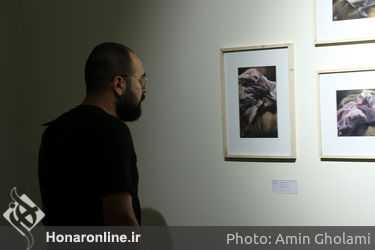 نمایشگاه نقاشی شیوا خالصی در گالری فرمانفرما