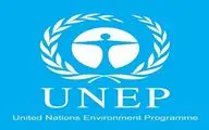 2 Iranians award UNEP Art Competition in Asia-Pacific region