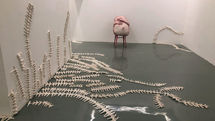 نمایشگاه گروهی «بر مدار حلزون» در گالری سو