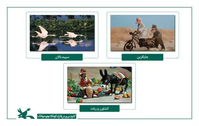 مجموعه انیمیشن «شتر و آسیابان» در مراکش نمایش داده می‌شود