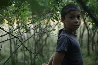 Docs from Balkan to Screen at Iranian Festival 