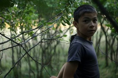 Docs from Balkan to Screen at Iranian Festival 