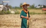 “Poets of Life” wins award at Seoul Green filmfest