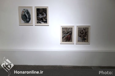نمایشگاه آثار نغمه قاسملو در گالری پروژه‌های آران
