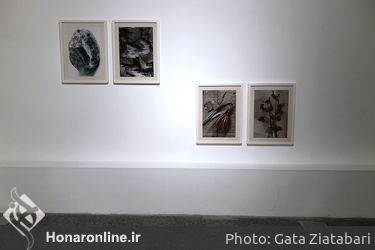 نمایشگاه آثار نغمه قاسملو در گالری پروژه‌های آران