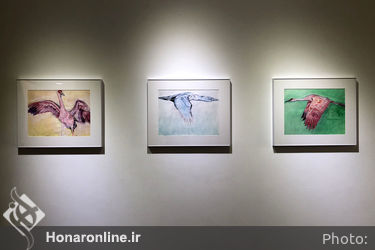 نمایشگاه آثار پانته‌آ رحمانی در گالری اعتماد