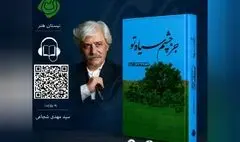 کتاب صوتی «جز چشم سیاه تو» با صدای سیدمهدی شجاعی منتشر شد
