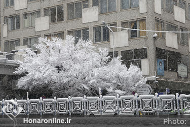 صبح برفی تهران 