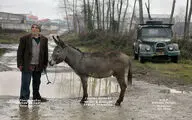 جایزه بهترین فیلم جشنواره اسپانیایی به 