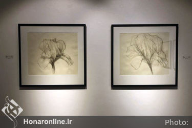 نمایشگاه انفرادی طراحی، نقاشی حمیدرضا اندرز در گالری شیرین