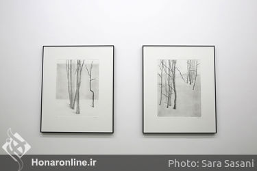 نمایشگاه آثار شکوفه فلاح در گالری اُ