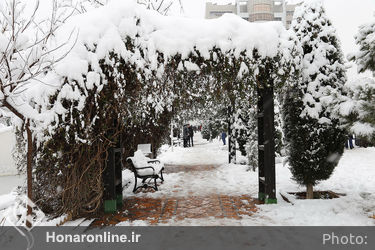 صبح برفی تهران 