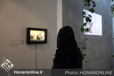 نمایشگاه عکس و چیدمان کجواج‌ها در گالری سایه