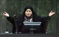 ورود کمیسیون فرهنگی به پرونده لغو زنجیره‌ای کنسرت‌ها