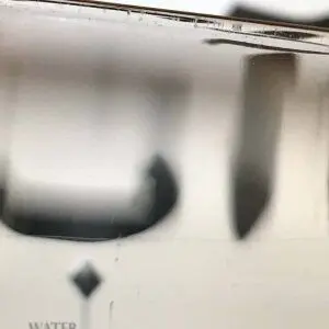 Water Conscious Art on View at Laleh Gallery