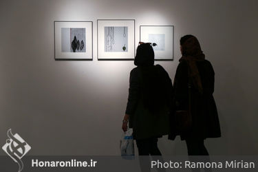 نمایشگاه آثار مینا نوری در گالری طراحان آزاد