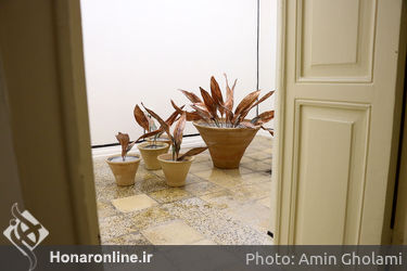 نمایشگاه آثار فرناز ربیعی‌جاه در گالری این جا