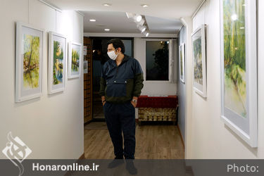 نمایشگاه نقاشی‌های نرگس عباسی در نگارخانه بهارک