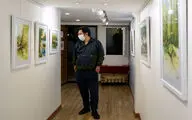 نمایشگاه نقاشی‌های نرگس عباسی در نگارخانه بهارک