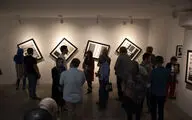 نمایشگاه عکس و چیدمان کجواج‌ها در گالری سایه